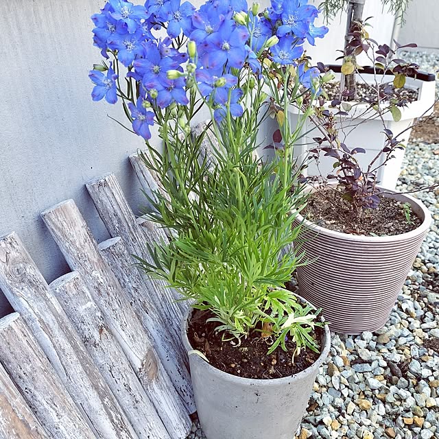apoさんの部屋