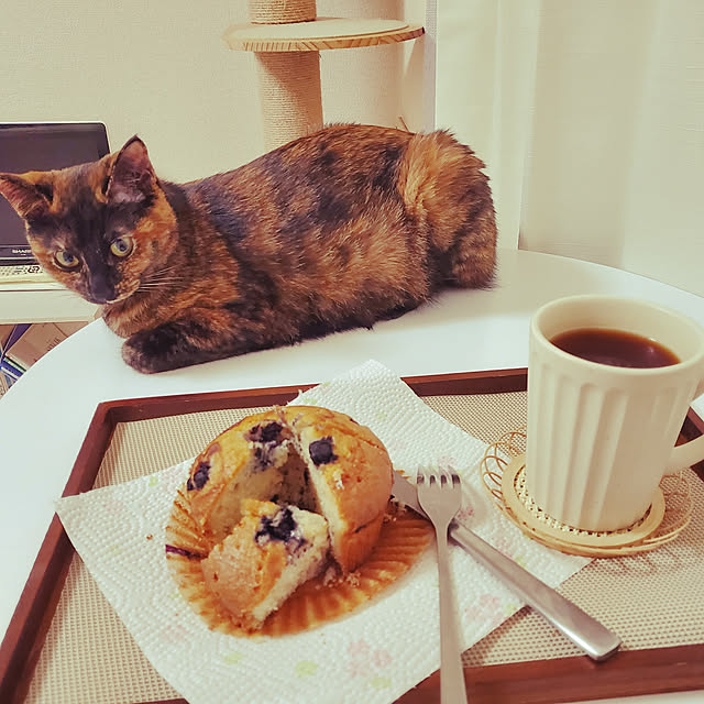 JIHYEさんの実例写真
