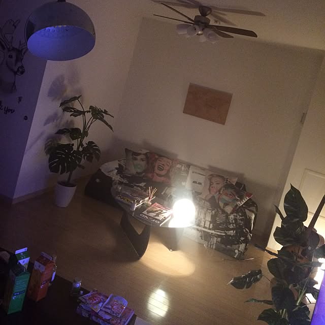 実例写真