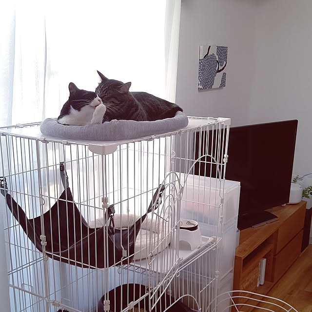 hihaさんの実例写真
