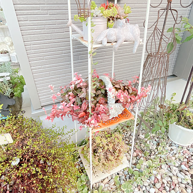 akiko-ovさんの部屋