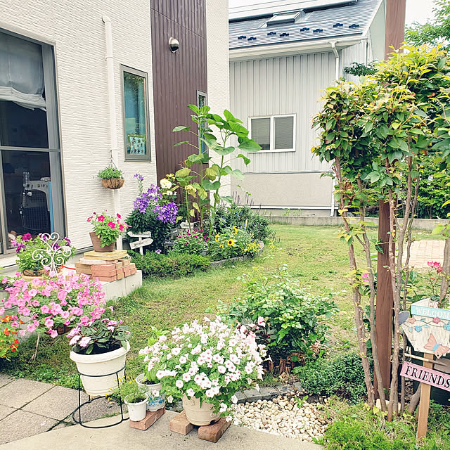 実例写真