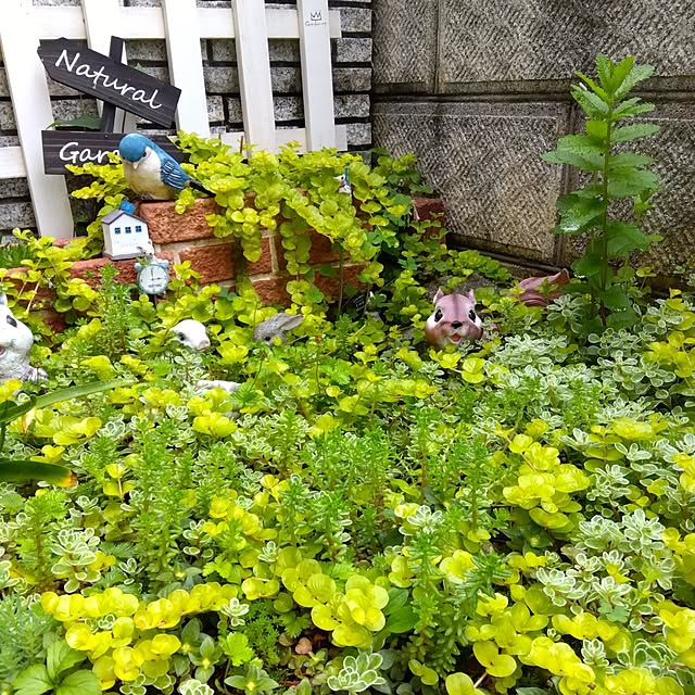25Moondropsさんの実例写真