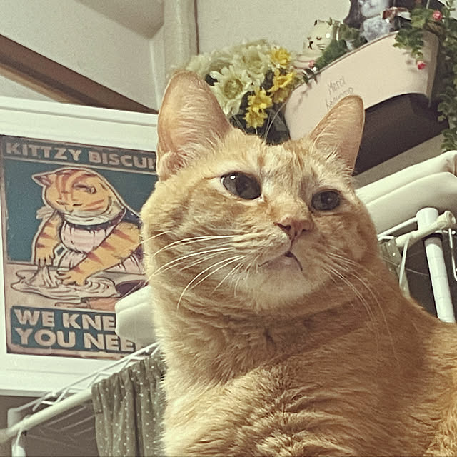 namiさんの実例写真