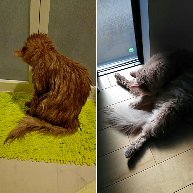 1ldksさんの実例写真