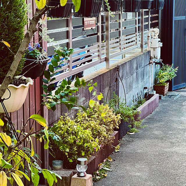 chacoさんの部屋