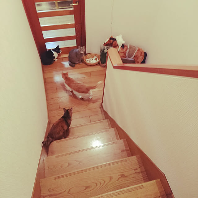 uchizukonyanさんの実例写真