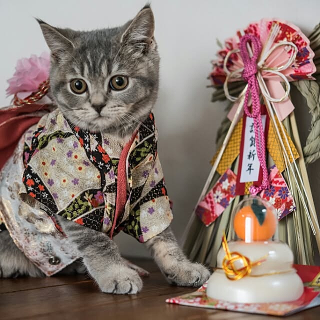 tamaさんの実例写真