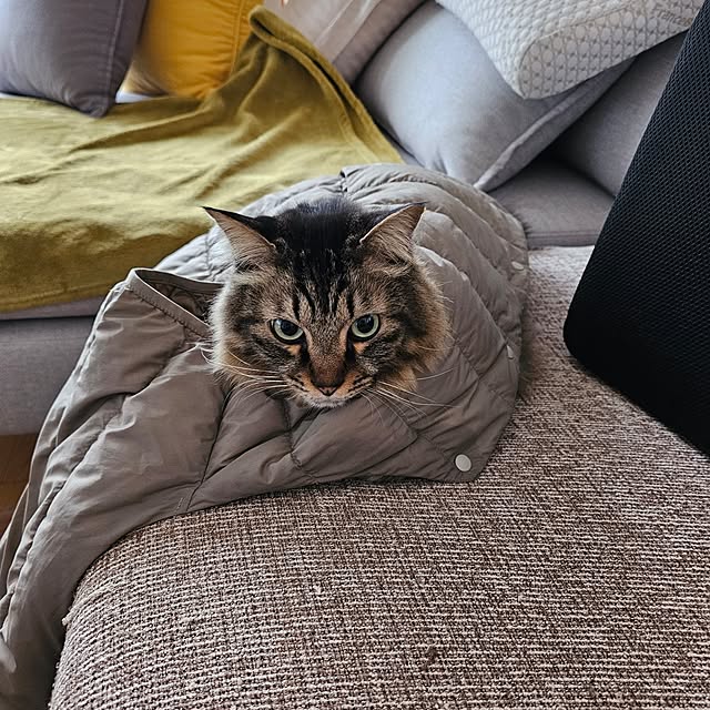 makoさんの部屋