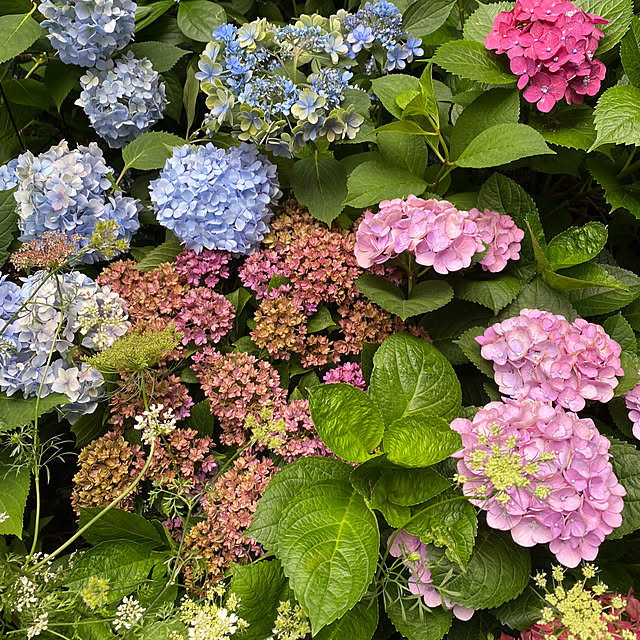 mさんの部屋
