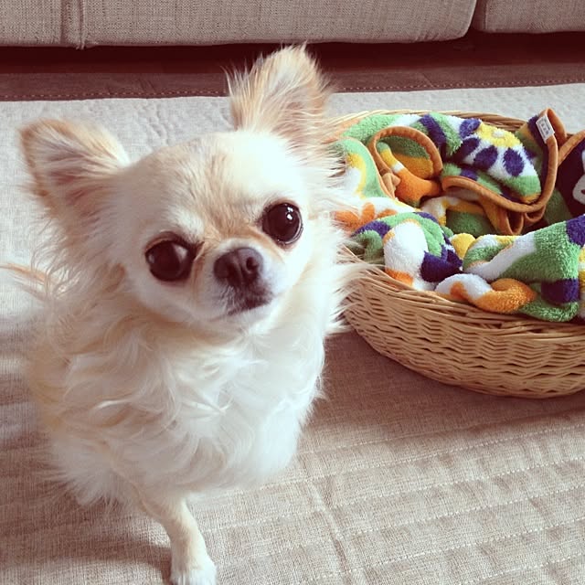 mamiさんの実例写真