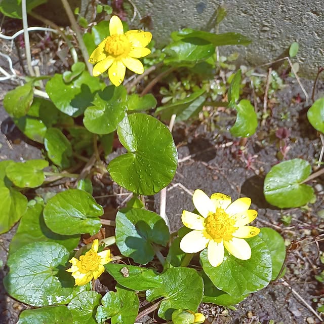 hiro.904さんの部屋