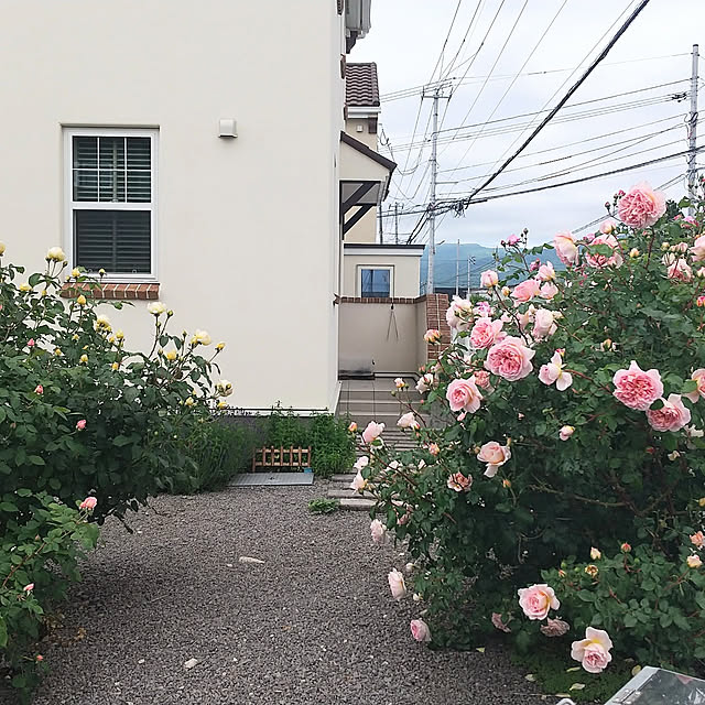 apiさんの実例写真