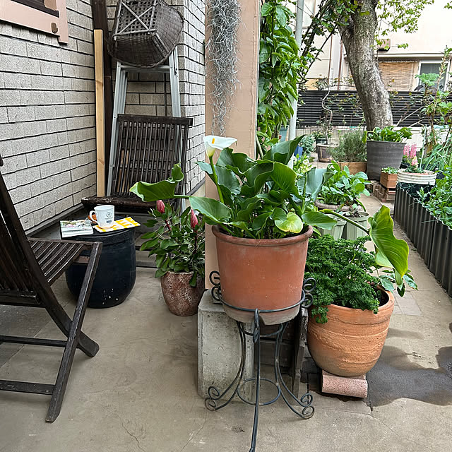botanさんの部屋