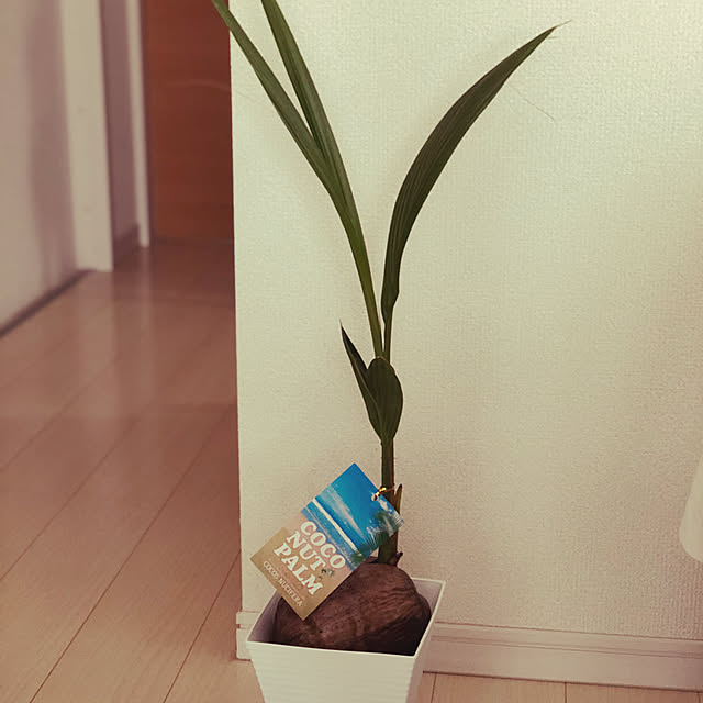puchi147さんの実例写真