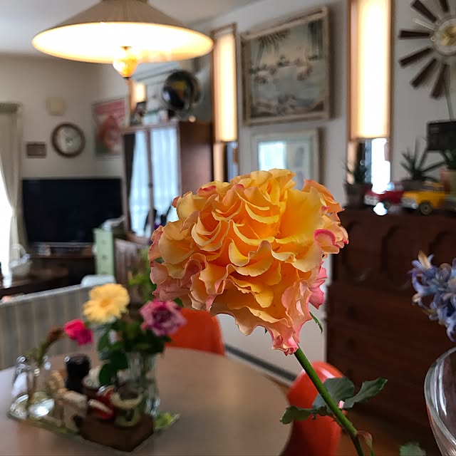 tsuyopipさんの実例写真