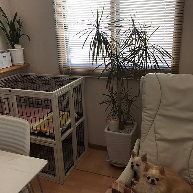 rosemaryさんの実例写真