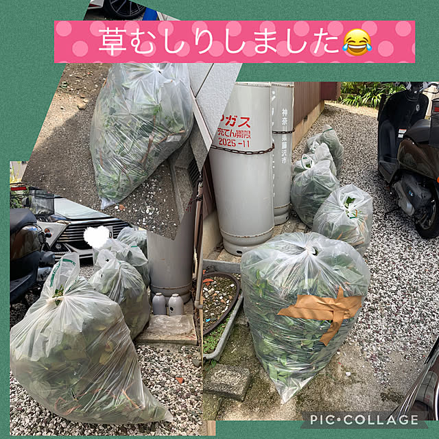 Aqettyさんの実例写真