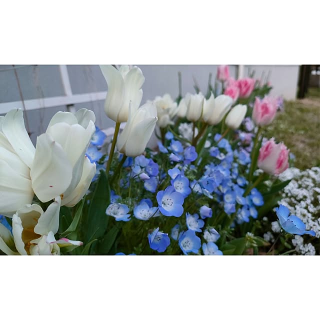 piyokoさんの部屋