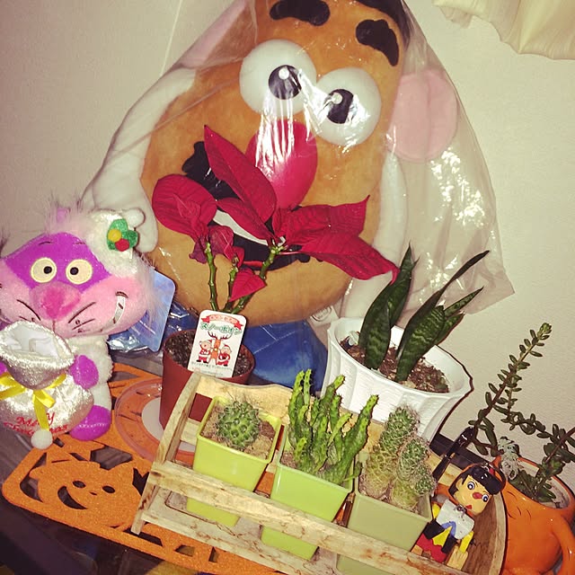 mr.potatoさんの実例写真