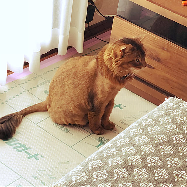yuさんの実例写真