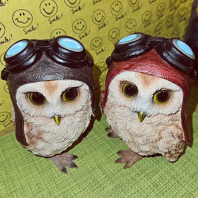 mocomocoさんの部屋