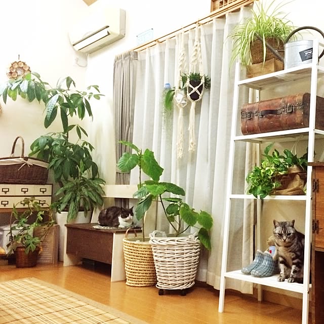 実例写真