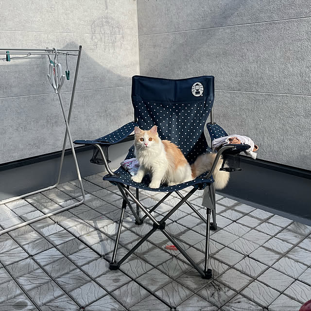 lovecofさんの実例写真