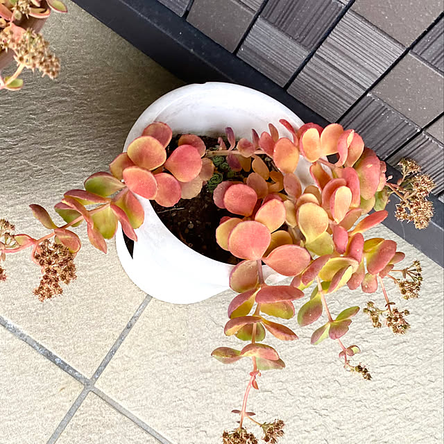 kojirotanさんの部屋