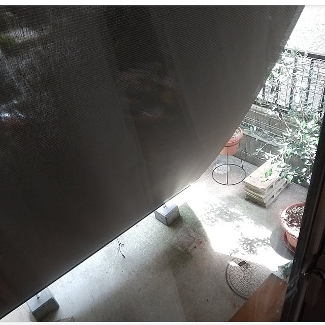 Shion+さんの実例写真