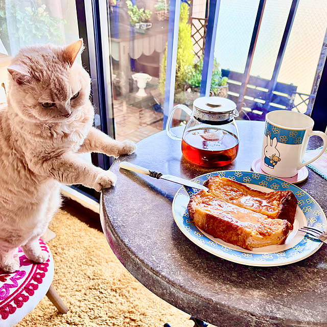 naokoさんの部屋