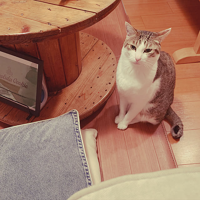 saorinkoさんの実例写真