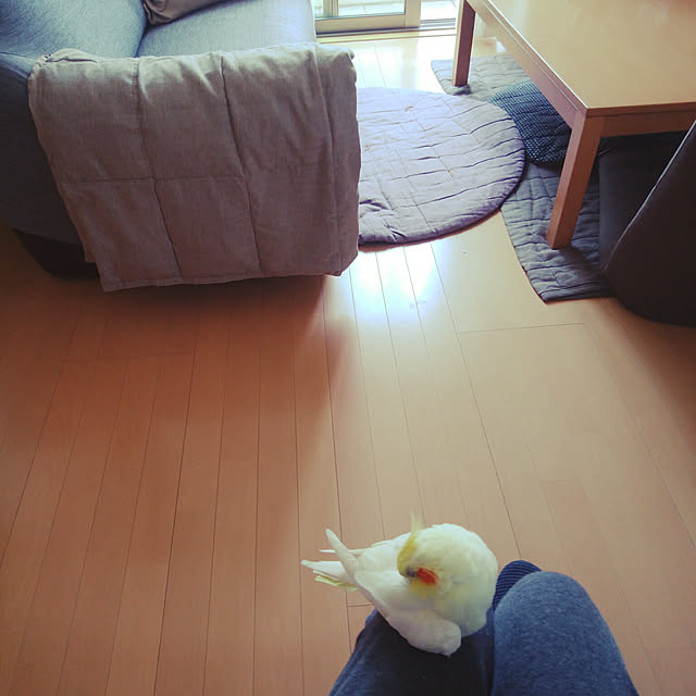 pontaさんの実例写真