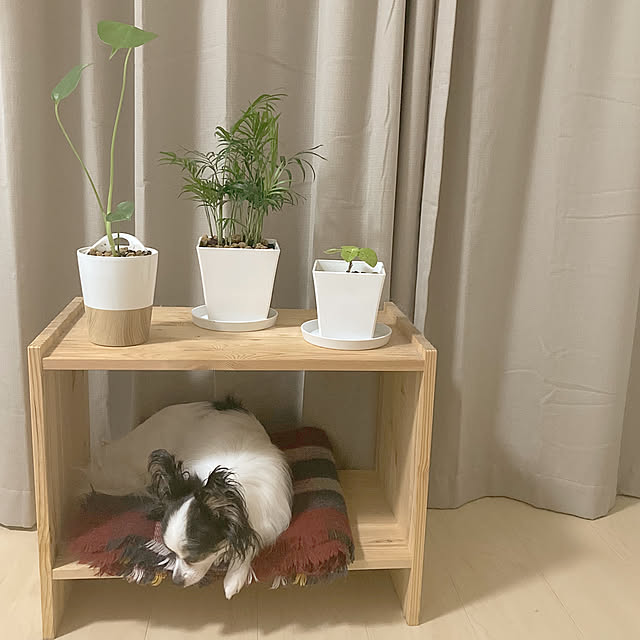 keiさんの実例写真