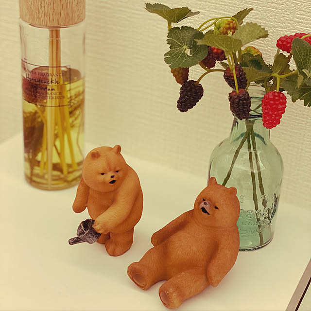 otsutaudonkoさんの実例写真
