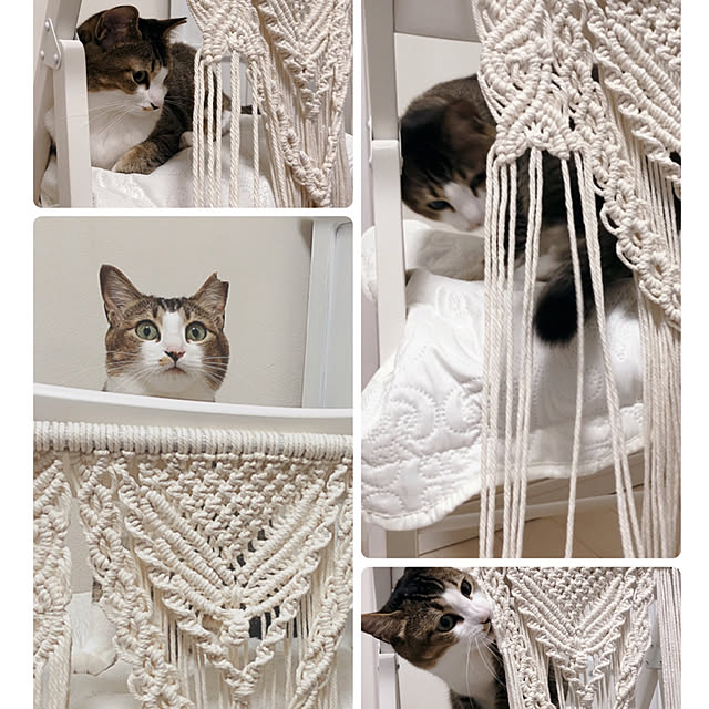 nekomiさんの実例写真
