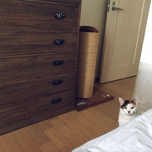 Anneさんの実例写真