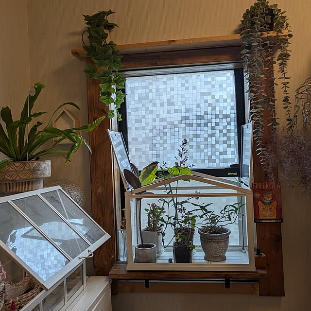 mori_6_12さんの部屋
