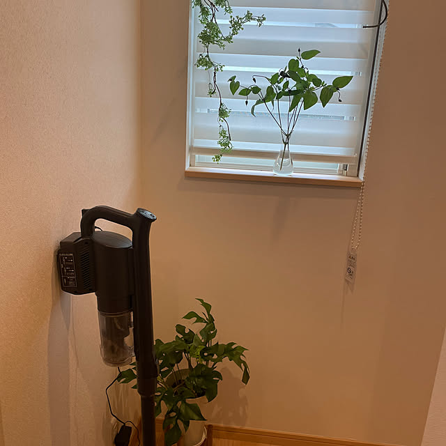 Naoeさんの実例写真