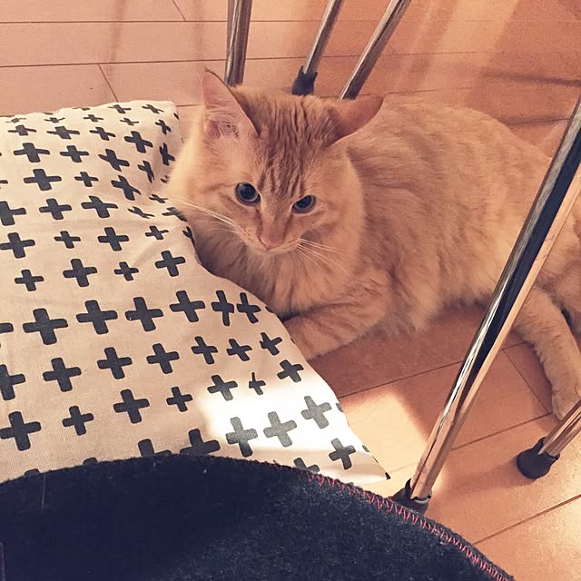 Ryokoさんの実例写真