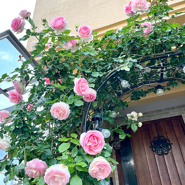 asako.10さんの実例写真