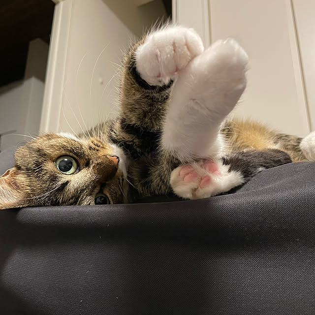 RURuさんの実例写真