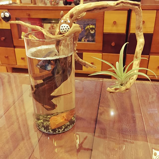 takayukiさんの実例写真