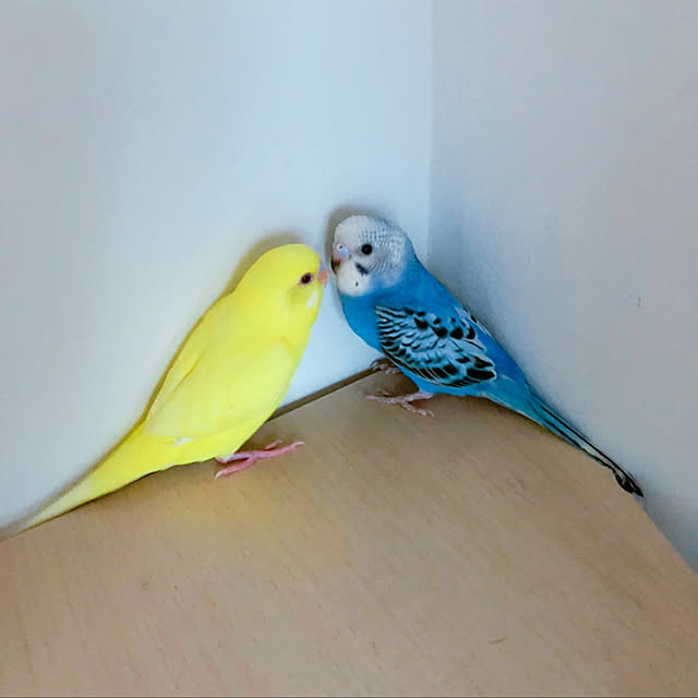 f.sさんの実例写真