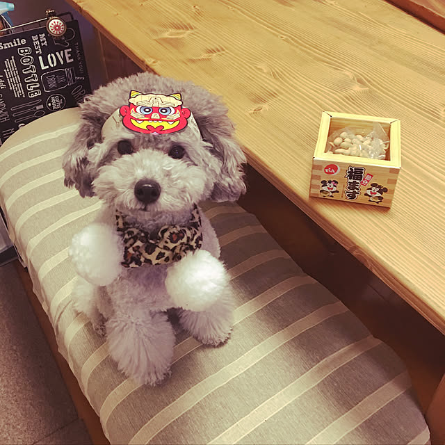 meguko.ryanさんの実例写真