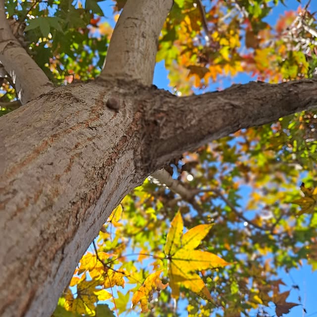 midoriさんの部屋