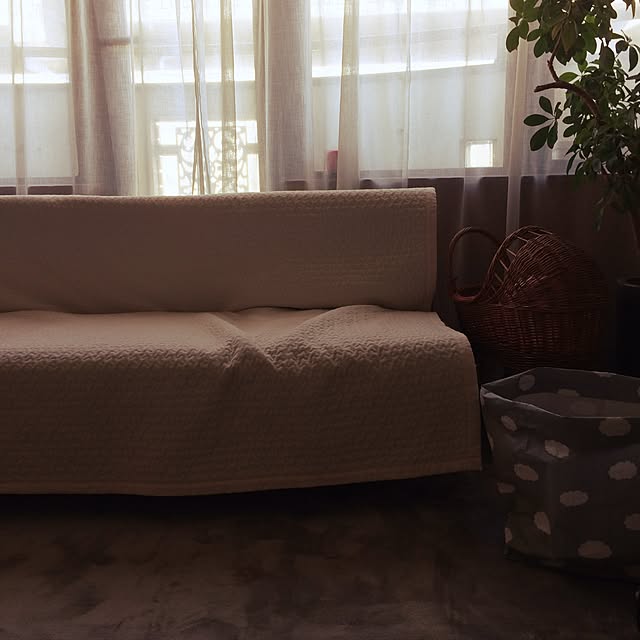 cohさんの実例写真