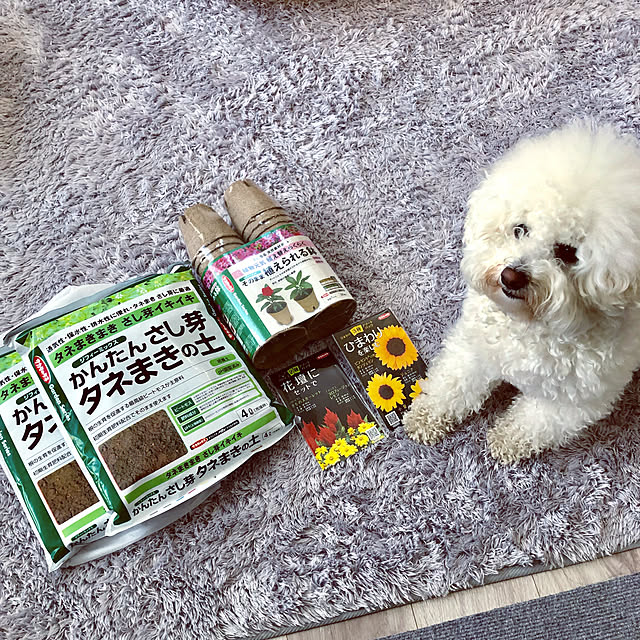 unichanさんの実例写真