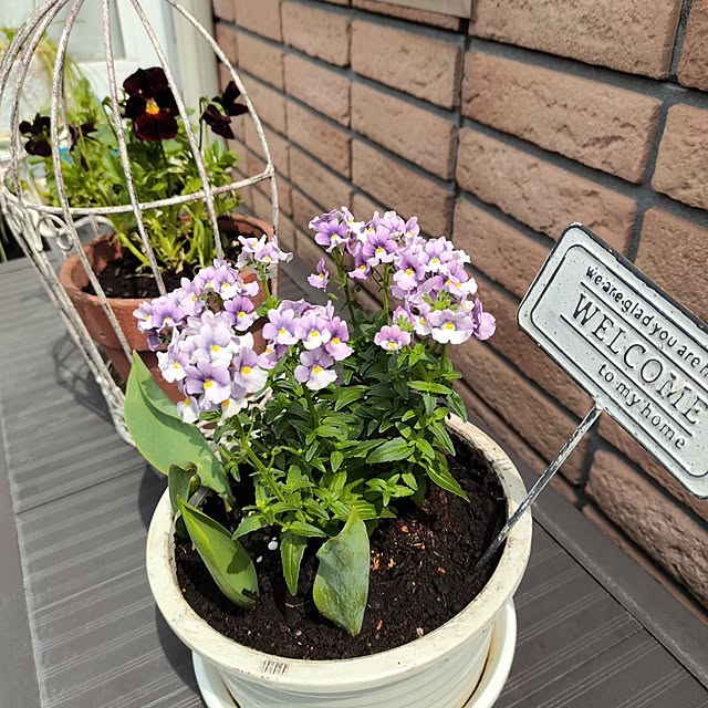kiraさんの部屋