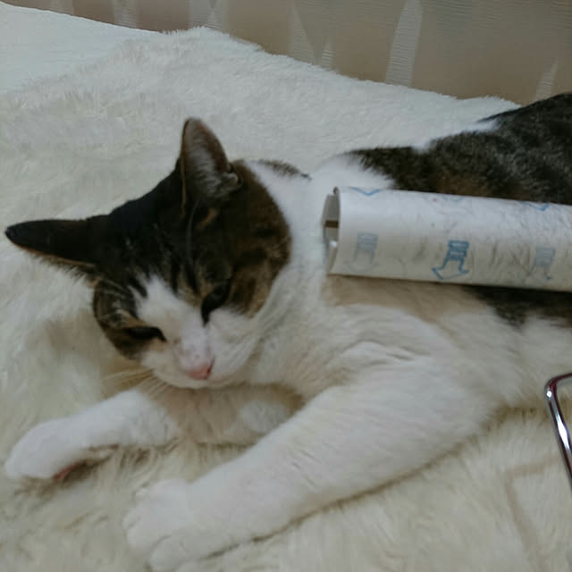machikomamaさんの実例写真